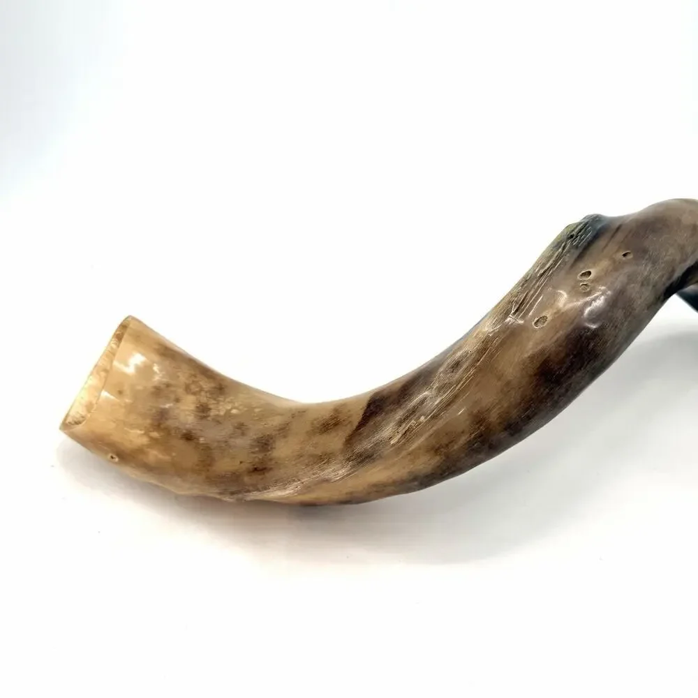 Unbranded kosher kudu